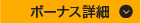 ボーナス詳細