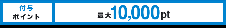 付与ポイント 最大10,000pt