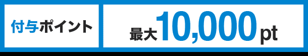 付与ポイント 最大10,000pt